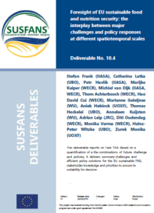 Deliverable 10.4: Foresight of EU sustainable food and nutrition security: the interplay between major challenges and policy responses at different spatiotemporal scales